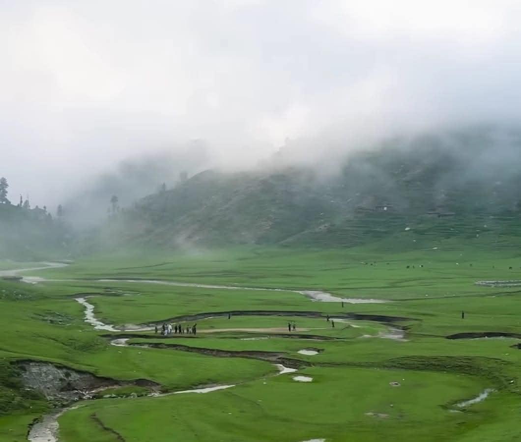 "وادی بلیجہ: ہزارہ کے سبز قالین پر جنت کا عکس”